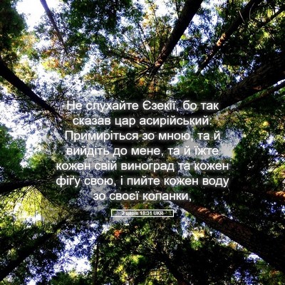 Picture 05 - 2 царів 18:31 UKR - Не слухайте Єзекії, бо так - Bible Verse Picture