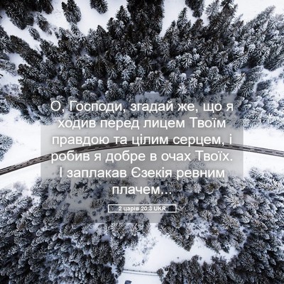 Picture 05 - 2 царів 20:3 UKR - О, Господи, згадай же, що я - Bible Verse Picture