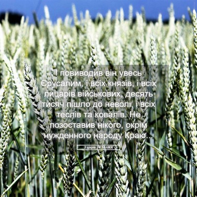 Picture 05 - 2 царів 24:14 UKR - І повиводив він увесь - Bible Verse Picture