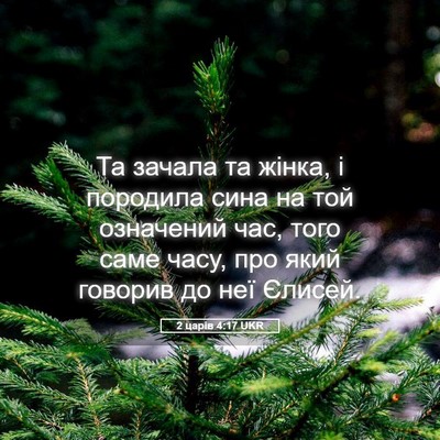 Picture 05 - 2 царів 4:17 UKR - Та зачала та жінка, і - Bible Verse Picture