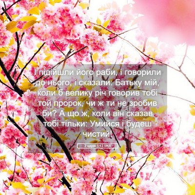 Picture 05 - 2 царів 5:13 UKR - І підійшли його раби, і - Bible Verse Picture