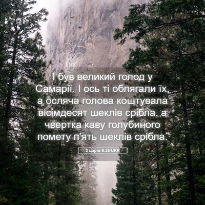 Picture 05 - 2 царів 6:25 UKR - І був великий голод у - Bible Verse Picture