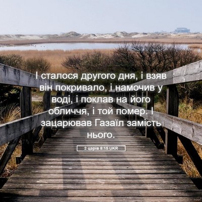 Picture 05 - 2 царів 8:15 UKR - І сталося другого дня, і - Bible Verse Picture