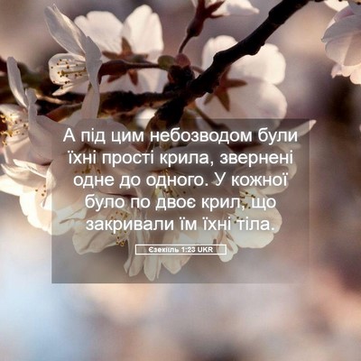 Picture 05 - Єзекіїль 1:23 UKR - А під цим небозводом були - Bible Verse Picture