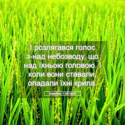Picture 05 - Єзекіїль 1:25 UKR - І розлягався голос з-над - Bible Verse Picture
