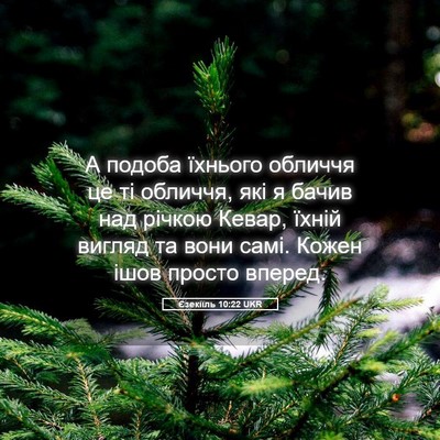 Picture 05 - Єзекіїль 10:22 UKR - А подоба їхнього обличчя - Bible Verse Picture