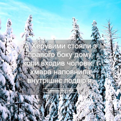 Picture 05 - Єзекіїль 10:3 UKR - А Херувими стояли з - Bible Verse Picture