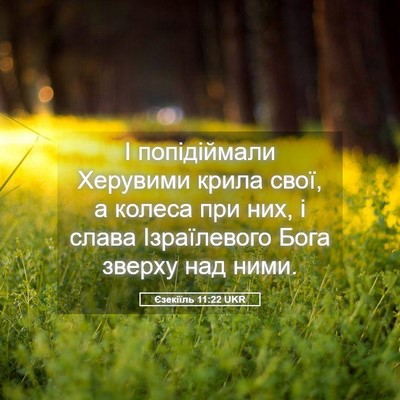 Picture 05 - Єзекіїль 11:22 UKR - І попідіймали Херувими - Bible Verse Picture