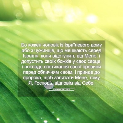 Picture 05 - Єзекіїль 14:7 UKR - Бо кожен чоловік із - Bible Verse Picture
