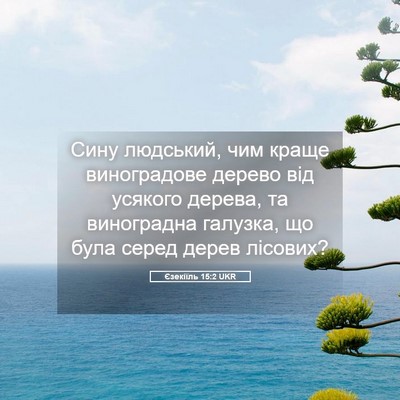 Picture 05 - Єзекіїль 15:2 UKR - Сину людський, чим краще - Bible Verse Picture