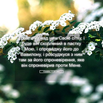 Picture 05 - Єзекіїль 17:20 UKR - І розтягну над ним Свою - Bible Verse Picture