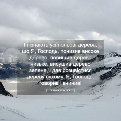 Picture 05 - Єзекіїль 17:24 UKR - І пізнають усі польові - Bible Verse Picture