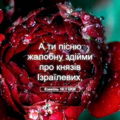 Picture 05 - Єзекіїль 19:1 UKR - А ти пісню жалобну здійми - Bible Verse Picture