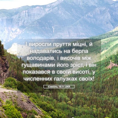 Picture 05 - Єзекіїль 19:11 UKR - І виросли пруття міцні, й - Bible Verse Picture