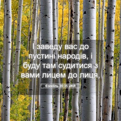 Picture 05 - Єзекіїль 20:35 UKR - І заведу вас до пустині - Bible Verse Picture