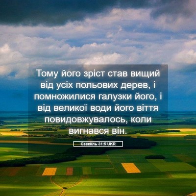 Picture 05 - Єзекіїль 31:5 UKR - Тому його зріст став вищий - Bible Verse Picture
