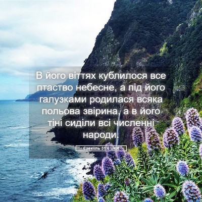 Picture 05 - Єзекіїль 31:6 UKR - В його віттях кублилося - Bible Verse Picture
