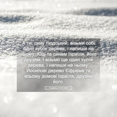 Picture 05 - Єзекіїль 37:16 UKR - А ти, сину людський, візьми - Bible Verse Picture