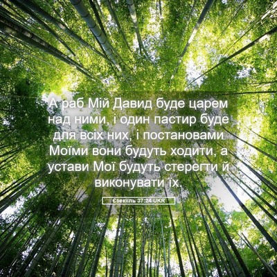 Picture 05 - Єзекіїль 37:24 UKR - А раб Мій Давид буде царем - Bible Verse Picture
