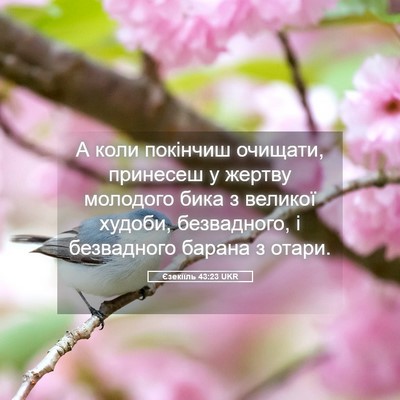 Picture 05 - Єзекіїль 43:23 UKR - А коли покінчиш очищати, - Bible Verse Picture