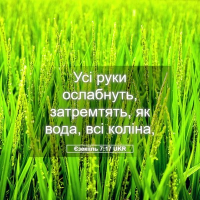 Picture 05 - Єзекіїль 7:17 UKR - Усі руки ослабнуть, - Bible Verse Picture
