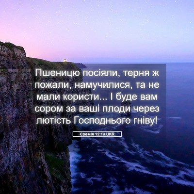 Picture 05 - Єремія 12:13 UKR - Пшеницю посіяли, терня ж - Bible Verse Picture