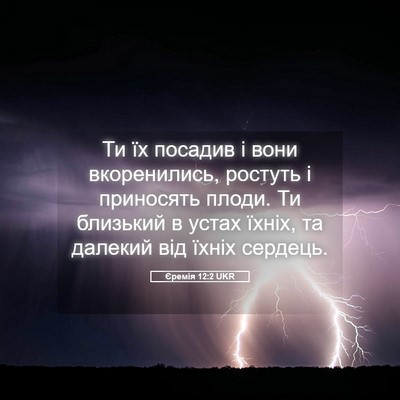 Picture 05 - Єремія 12:2 UKR - Ти їх посадив і вони - Bible Verse Picture