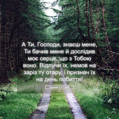 Picture 05 - Єремія 12:3 UKR - А Ти, Господи, знаєш мене, - Bible Verse Picture