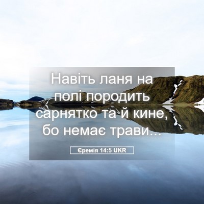 Picture 05 - Єремія 14:5 UKR - Навіть ланя на полі - Bible Verse Picture