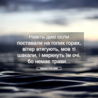 Picture 05 - Єремія 14:6 UKR - Навіть дикі осли поставали - Bible Verse Picture