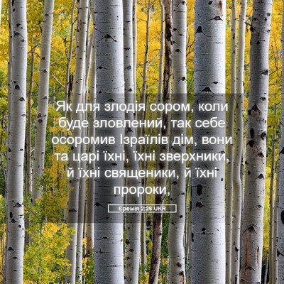 Picture 05 - Єремія 2:26 UKR - Як для злодія сором, коли - Bible Verse Picture