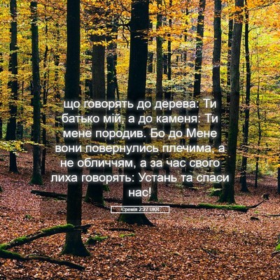 Picture 05 - Єремія 2:27 UKR - що говорять до дерева: Ти - Bible Verse Picture