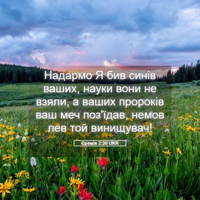 Picture 05 - Єремія 2:30 UKR - Надармо Я бив синів ваших, - Bible Verse Picture