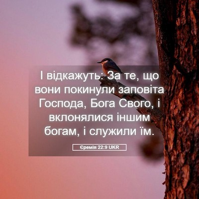 Picture 05 - Єремія 22:9 UKR - І відкажуть: За те, що вони - Bible Verse Picture