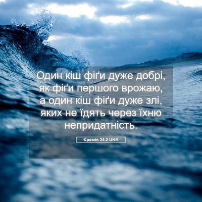 Picture 05 - Єремія 24:2 UKR - Один кіш фіґи дуже добрі, - Bible Verse Picture