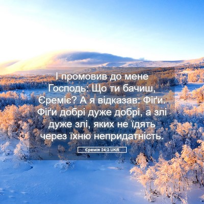 Picture 05 - Єремія 24:3 UKR - І промовив до мене Господь: - Bible Verse Picture