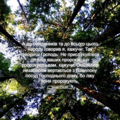 Picture 05 - Єремія 27:16 UKR - А до священиків та до - Bible Verse Picture
