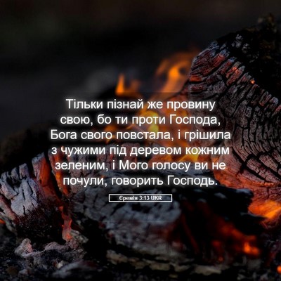 Picture 05 - Єремія 3:13 UKR - Тільки пізнай же провину - Bible Verse Picture