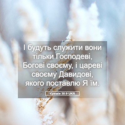 Picture 05 - Єремія 30:9 UKR - І будуть служити вони - Bible Verse Picture