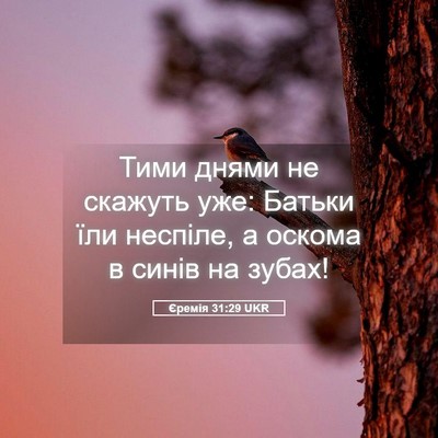 Picture 05 - Єремія 31:29 UKR - Тими днями не скажуть уже: - Bible Verse Picture
