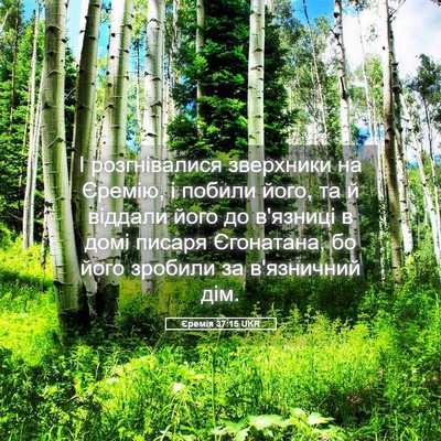 Picture 05 - Єремія 37:15 UKR - І розгнівалися зверхники - Bible Verse Picture