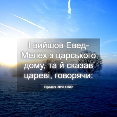 Picture 05 - Єремія 38:8 UKR - І вийшов Евед-Мелех з - Bible Verse Picture