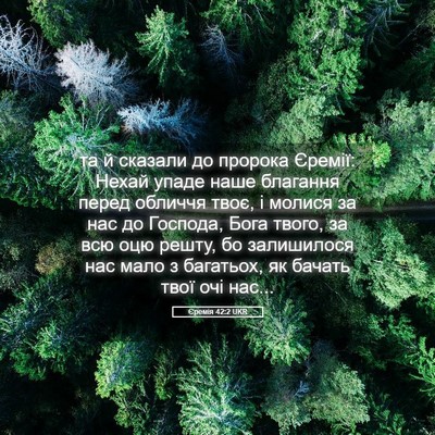 Picture 05 - Єремія 42:2 UKR - та й сказали до пророка - Bible Verse Picture