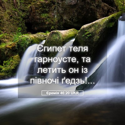 Picture 05 - Єремія 46:20 UKR - Єгипет теля гарноусте, та - Bible Verse Picture