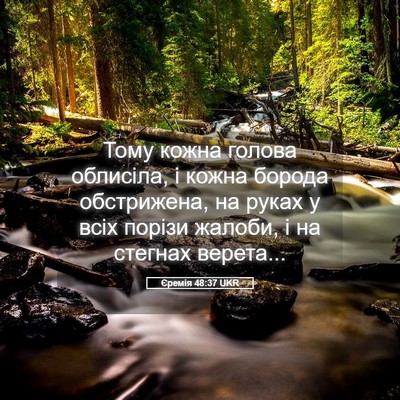 Picture 05 - Єремія 48:37 UKR - Тому кожна голова - Bible Verse Picture