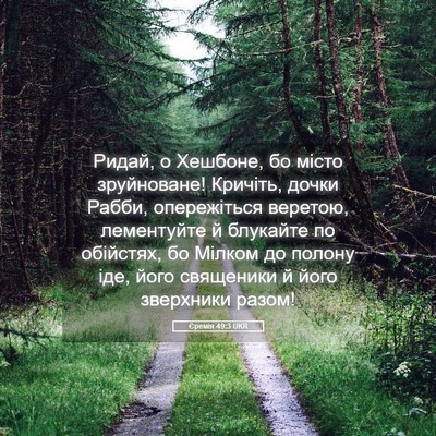 Picture 05 - Єремія 49:3 UKR - Ридай, о Хешбоне, бо місто - Bible Verse Picture