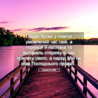 Picture 05 - Єремія 8:7 UKR - І відає бусел у повітрі - Bible Verse Picture