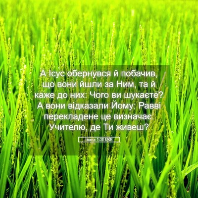 Picture 05 - Івана 1:38 UKR - А Ісус обернувся й побачив, - Bible Verse Picture