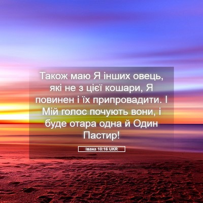 Picture 05 - Івана 10:16 UKR - Також маю Я інших овець, - Bible Verse Picture