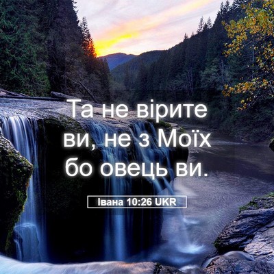 Picture 05 - Івана 10:26 UKR - Та не вірите ви, не з Моїх - Bible Verse Picture